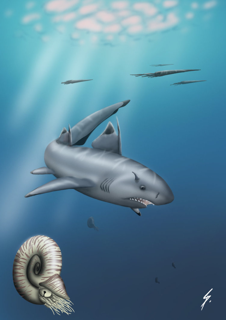 Hybodontiformes Owen, 1846) Отряд Гибодонтообразные, Order